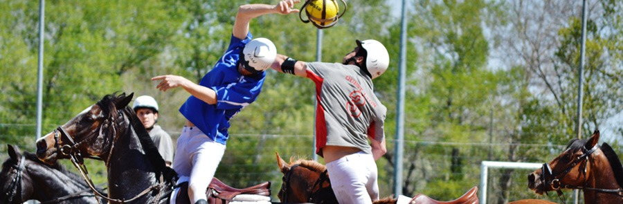 Horse-Ball