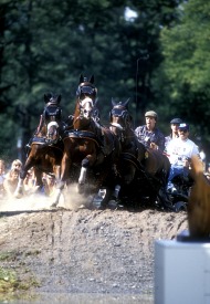 1990 Driving World champion Tomas Eriksson - ©Kit Houghton / FEI