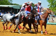 Photo Horse-Ball - ©Olivia Kohler JuNiThi
