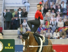 Nicolas Andreani - Voltige
