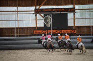 Horse Ball - ©Horse-Ball M³