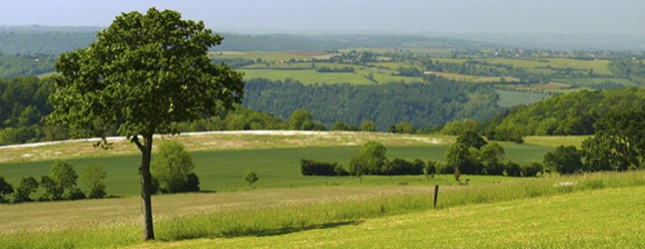 Projet Territorial