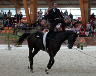 Nicolas Andreani