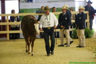 Reining - August 24th - ©PSV Photos