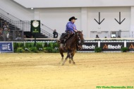 Reining - Cedric GUERREIRO - SMART FURYS REMEDY - FRA - ©PSV Photos