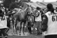 Endurance - ©Sindy Thomas
