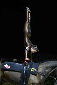 15 - Jasmin GIPPERICH - Polan 2 - WESTERHEIDE - Vaulting 2/09 - ©CO Normandie 2014/PSV