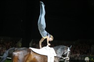 31 - Esther SNEEKES - Nolan - SNEEKES- Vaulting 2/09  - ©CO Normandie 2014/PSV