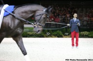 45 - Jacques FERRARI - Poivre Vert - ATHIMON - LONGEUR - Vaulting 2/09 - ©CO Normandie 2014/PSV