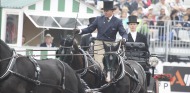 Boyd Exell - dressage test - Prairie Racecourse - Friday 5 September - ©PSV Photos